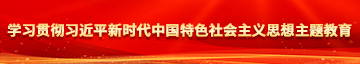 骚逼扣逼视频颜射学习贯彻习近平新时代中国特色社会主义思想主题教育